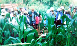 Ly kỳ vụ em trai tố anh giết bố