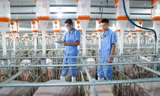 BAF đặt mục tiêu lợi nhuận trước thuế trên 770 tỷ năm 2025