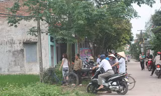 Chấm dứt hoạt động mê tín về 'thần rắn'