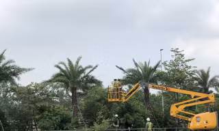 Công nhân đang tiến hành cắt cỏ tại khu A14A2 đường Mạc Thái Tổ, phường Yên Hòa.
