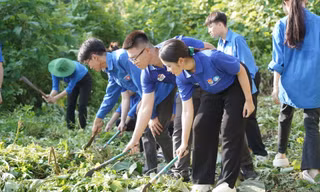 Sôi nổi các hoạt động mở màn của Chiến dịch Mùa hè xanh tại Tuyên Quang