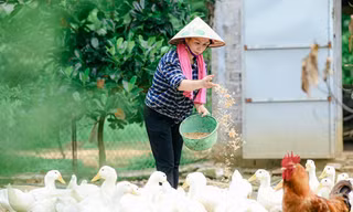Ở nhà mùa dịch, nam sinh chụp bộ ảnh về mẹ khiến dân mạng 'tấm tắc' khen