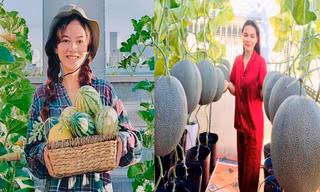 Những vườn rau xanh mướt trên sân thượng của các bạn trẻ mùa dịch 