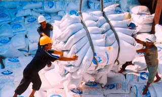 Xuất khẩu gạo đang giảm mạnh
