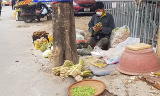 F0 tăng kỷ lục ở Hà Nội, chanh, sả, gừng lá xông cùng 'cháy hàng'