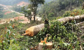 Đề nghị xem xét kỷ luật nguyên lãnh đạo Thành ủy, UBND thành phố Bảo Lộc