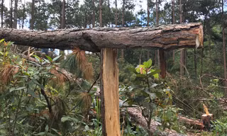 Chấm dứt chuyển nhượng dự án Sân golf và khu nghỉ dưỡng Đà Lạt 