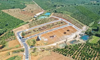 Đồi chè bị băm nát, phân lô 