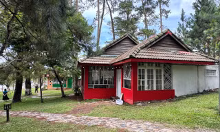 Nữ doanh nhân trúng đấu giá 2 căn nhà trong rừng thông Đà Lạt 