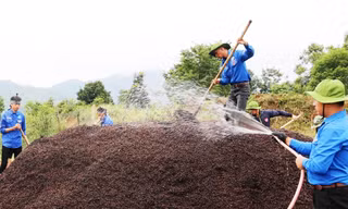 Hỗ trợ sinh kế cho 167 hộ nghèo ở vùng sâu vùng xa Đam Rông
