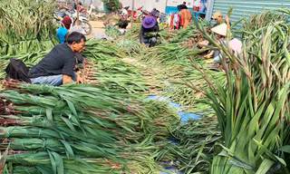 Huyện Đức Trọng triển khai đồng bộ các giải pháp giúp nhiều hộ thoát nghèo 