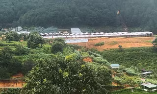 Phân lô đất thuê của ngân hàng, lừa đảo chiếm đoạt tiền tỷ