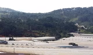 Hơn 400 hộ không chấp hành tháo dỡ nhà kính trái phép trên đất rừng 