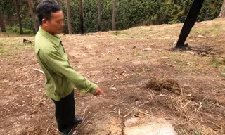 Bắt đối tượng phá rừng đốt gỗ phi tang để chiếm đất