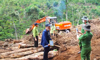 Khám nghiệm hiện trường vụ triệt hạ hàng chục nghìn m2 rừng bằng cưa xăng, xe cơ giới 