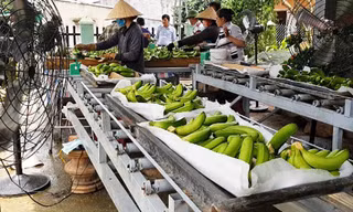 Mảng màu tươi sáng ở huyện nghèo Đam Rông 