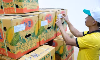 Xuất khẩu sầu riêng Lâm Đồng, Đắk Nông sang thị trường lớn nhất thế giới