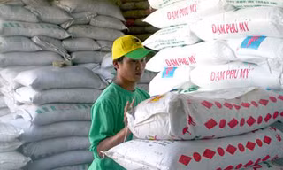 Nhiều loại phân bón tăng giá