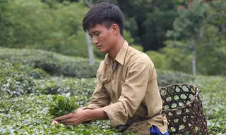 Mơ ước của hai thủ khoa trường Y