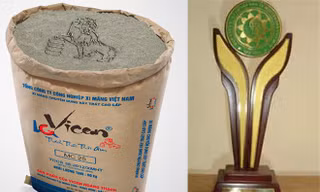 Vicem Hoàng Thạch & Bí quyết thành công