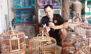 Anh Trương Quốc Thắng chăm sóc đàn cu gáy
