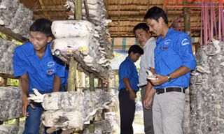 Đoàn viên, thanh niên tham quan mô hình trồng nấm của anh Luận