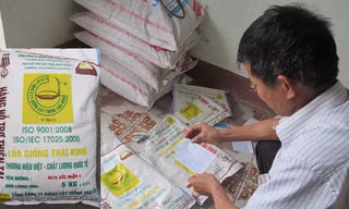 Bao giống BC15 quá hạn sử dụng, bà con nông dân phải đem cho gà ăn. Ảnh: Q.Long
