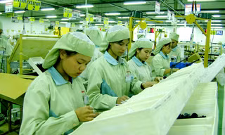  Không ít doanh nghiệp FDI lợi dụng ưu đãi đầu tư kê khai lỗ hoặc có các hoạt động chuyển giá để tránh phải nộp thuế. Ảnh: Ngọc Châu