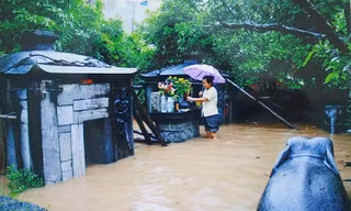Xót xa di tích quốc gia hoang phế giữa lòng thủ đô