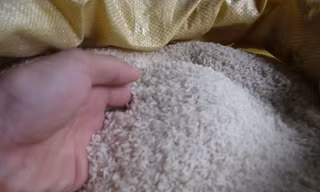 Nên nhờ người thân quen để lựa chọn được gạo ngon (ảnh minh họa)
