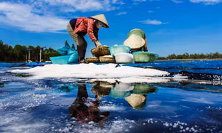 Muối mặn Sa Huỳnh