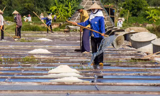 Hạt muối nhọc nhằn của diêm dân Nam Định