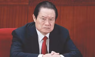 Mạnh tay đả “hổ” Chu Vĩnh Khang