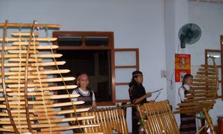 Đàn ta 