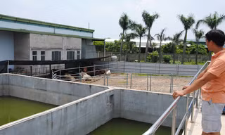 Nhà máy giết mổ gia súc, gia cầm Foodex và trạm xử lý nước thải hoạt động cầm chừng gây lãng phí lớn. ảnh: Minh Tuấn 