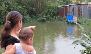 Cầu tiêu đi trên ao cá và ngay trước mặt nhà của chị Đào