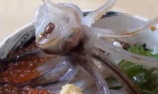 Những món ăn kinh dị trên thế giới