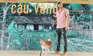 Đạo diễn phim Cậu Vàng xin lỗi công chúng sau vụ nhân viên chê khán giả nghèo hèn, ngu dốt