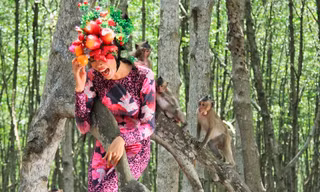 Thí sinh Next Top Model sợ hãi khi chụp ảnh với khỉ