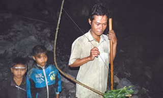 Theo người Rục săn chuột “tuyệt chủng”
