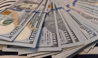 Dự báo về tình hình tỷ giá USD