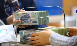 Ngân hàng, công ty chứng khoán cấp tập tăng vốn 