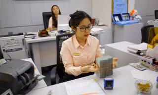 Phân khúc bất động sản nào đang được NHNN cấp tín dụng?
