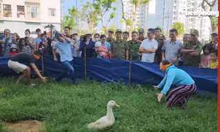 Cười nắc nẻ với trò 'bịt mắt bắt vịt' ở thành phố du lịch