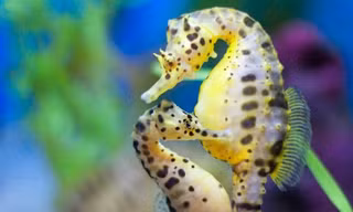 Ảnh minh họa: Internet