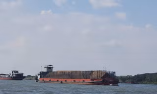 Vụ trục lợi hoàn thuế 'khủng' tại Ninh Bình: Thiệt hại hơn 45 tỷ đồng, khó thu hồi