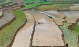 Mê mẩn những thửa ruộng như gương trời in bóng mây bay ở Bắc Hà