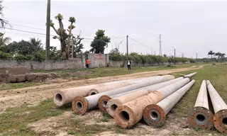 Ninh Bình: Hàng loạt cột điện trung thế vừa trồng xong đã phải nhổ lên 