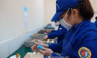 Chi tiết phương án phân phối pháo hoa hợp pháp, bắn cao trên 20 m do quân đội sản xuất 