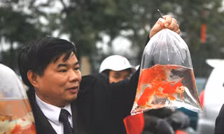 Người dân chọn mua cá trên đường Lê Duẩn, Hà Nội chiều 25-1. Ảnh: Hải Hồ (Tuổi Trẻ)
